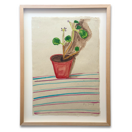 Geranium Shadow