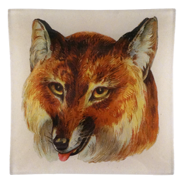 Red Fox