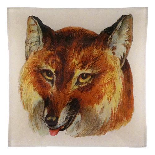 Red Fox