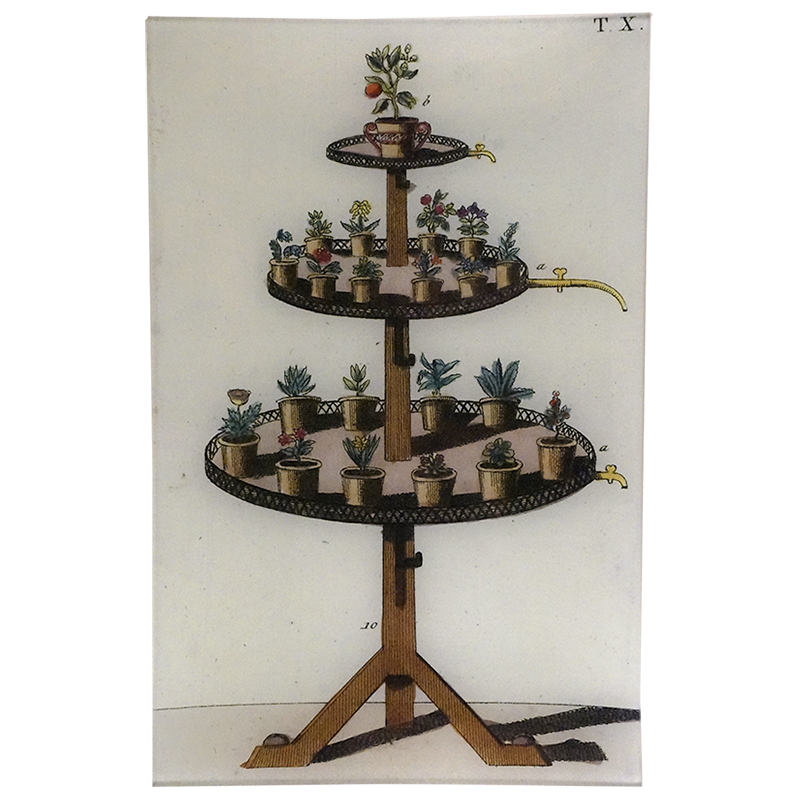 Plant Stand