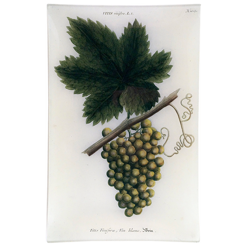 White Grapes - FINAL SALE
