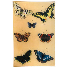 Butterflies - FINAL SALE