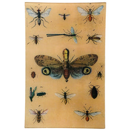 Insect I - FINAL SALE