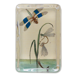 Dragonfly over Water - FINAL SALE