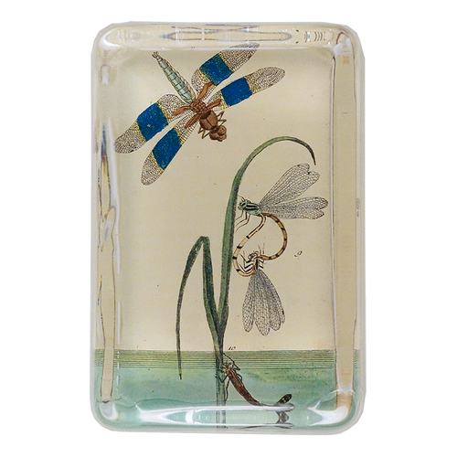 Dragonfly Over Water - FINAL SALE