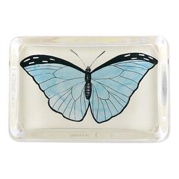 Pale Blue Butterfly - FINAL SALE