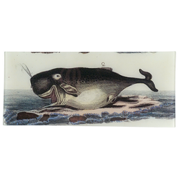 Le Cachelot (Sperm Whale) - FINAL SALE