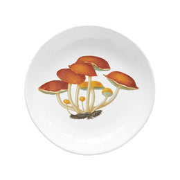 Agaric Amer Soup Bowl