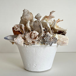 Mixed Shell Mound Pot by Christopher D. Bassett