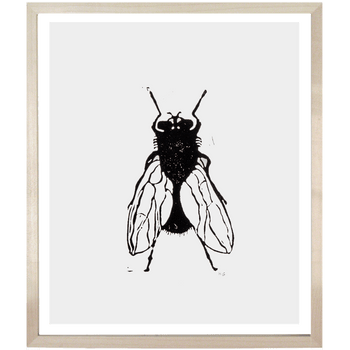 Fly