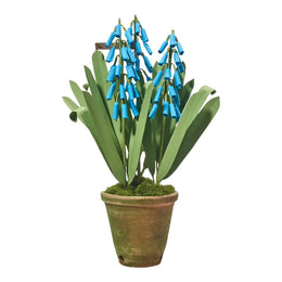The Green Vase Potted Muscari