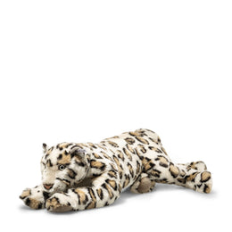 Parddy Leopard