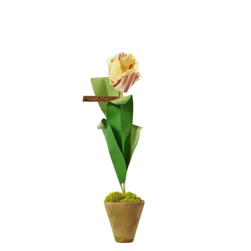 The Green Vase Potted Parrot Tulip
