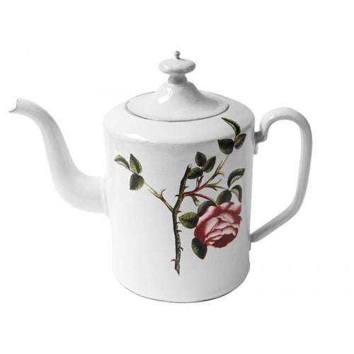 Rosa Centilolia Teapot- Large