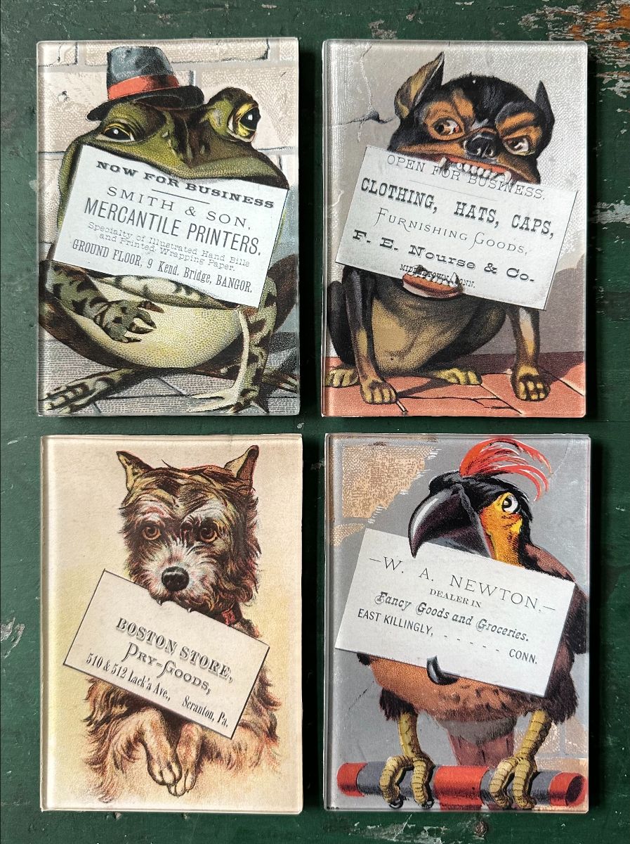 trading_cards.jpg?v=1771276322