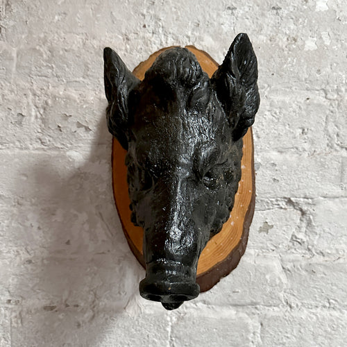 Antique Black Forest Carved Black Boar Head (23B03)
