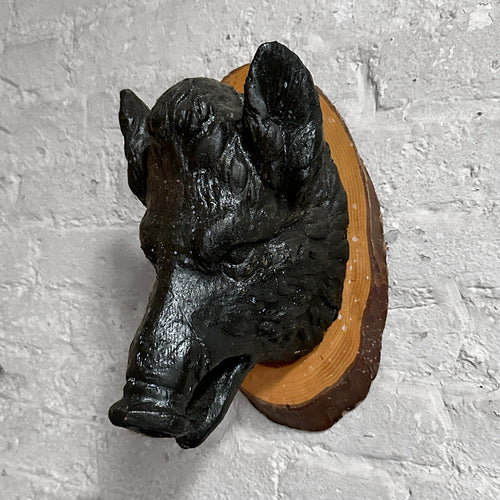 Antique Black Forest Carved Black Boar Head (23B03)
