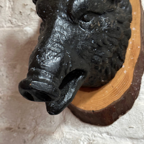 Antique Black Forest Carved Black Boar Head (23B03)