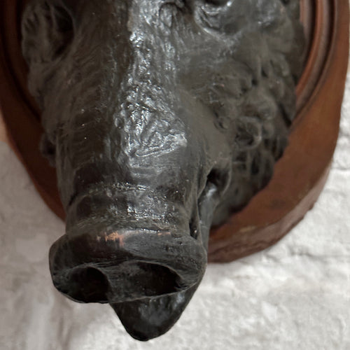 Antique Black Forest Carved Black Boar Head (23B04)
