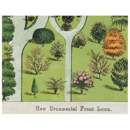 Ornamental Trees (p 60)