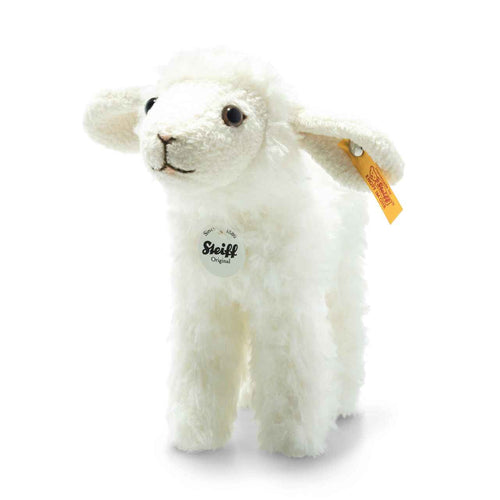 Anni Lamb