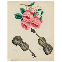 Cascading Roses (p 68)