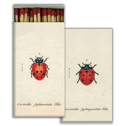 Little Lady Bug and Red Lady Bug four inch matchbox with fifty sticks