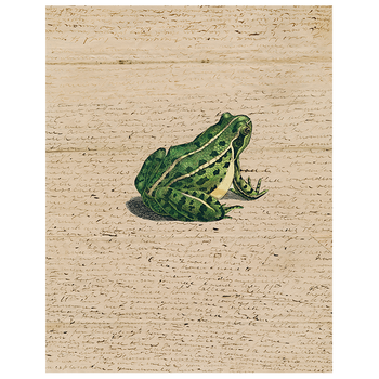 Frog Prince (p 81)