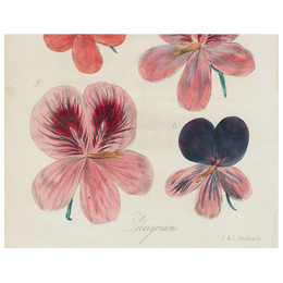 109_853b86a5-fff5-46c5-927b-