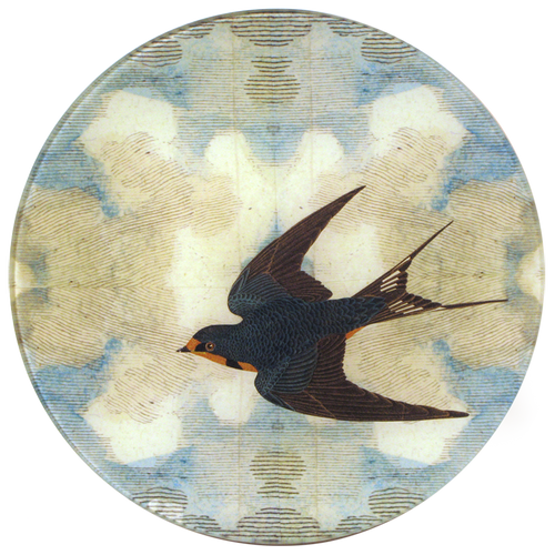 Swallow in Flight (Flying Left)