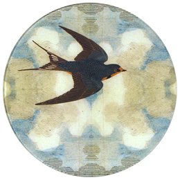 Swallow in Flight (Flying Right)