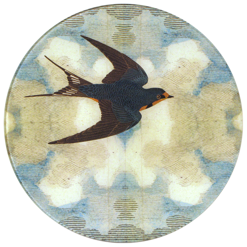 Swallow in Flight (Flying Right)