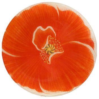 A Red Poppy (789G)