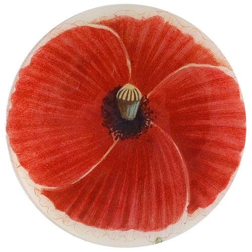Dark Red Poppy (788A)