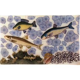 3 Fish (Collage)