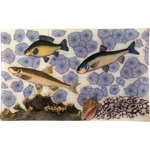 3 Fish (Collage)