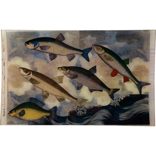 Flying Fish 1 (Collage)
