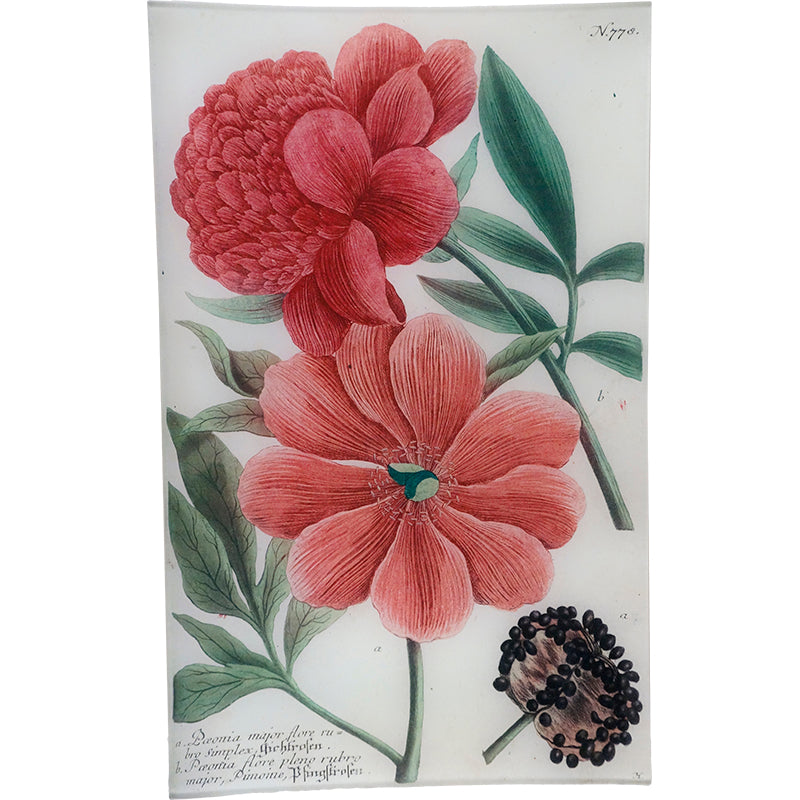 N. 778 Red Peony