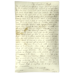 Central Park Essay - FINAL SALE