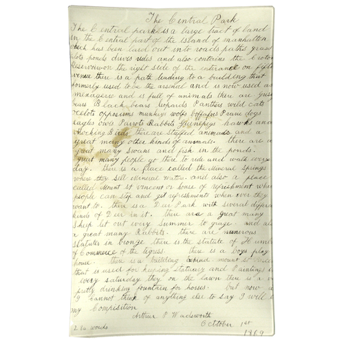 Central Park Essay - FINAL SALE