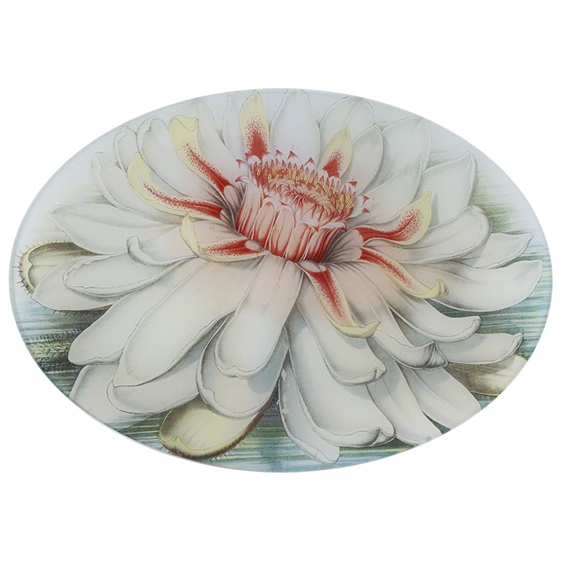 A ten inch by fourteen inch horizontal oval glass plate featuring a central lily with white petals and a red and yellow center.