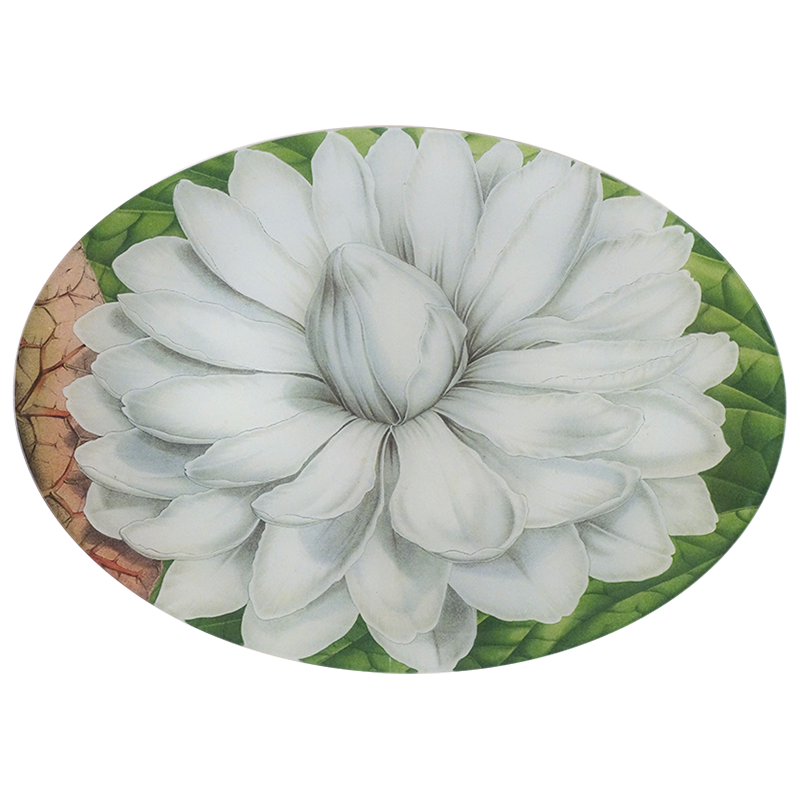 A ten inch by fourteen inch horizontal glass oval plate of a white lily with green leaves.