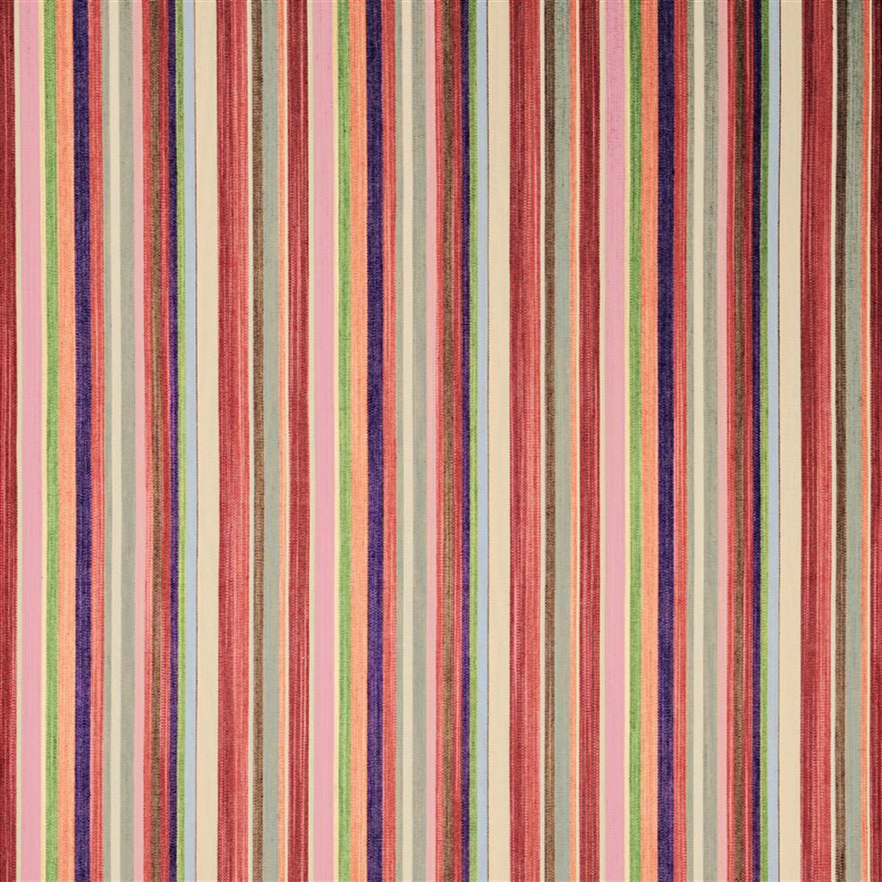 Herring Cove Fuchsia