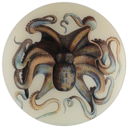 Octopus - FINAL SALE