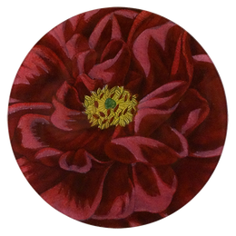 Rose de Provins Ordinaire