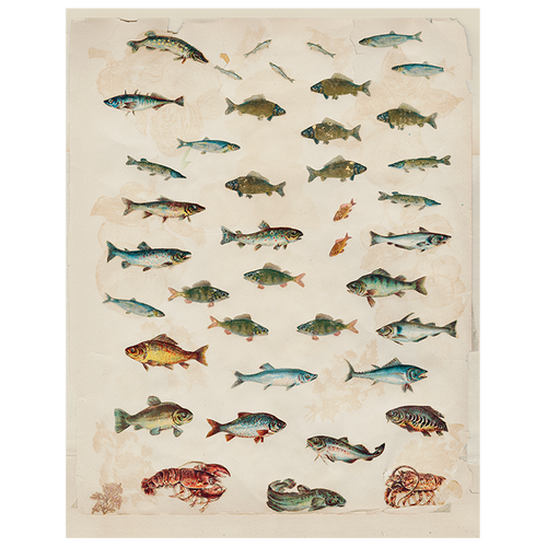 Fish (p 118)