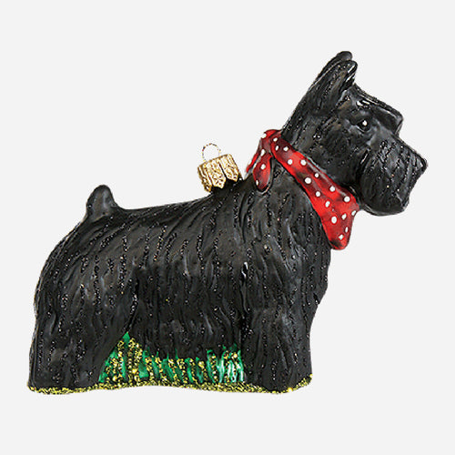 Scottish Terrier in Black Ornament