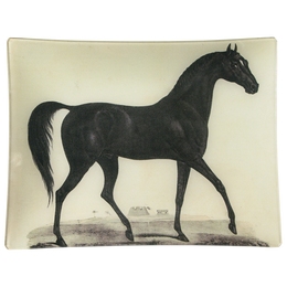 Arabian Horse - FINAL SALE