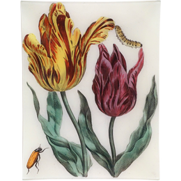 Tulips & Bugs