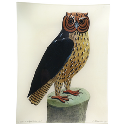 #44 - Horn Owl - FINAL SALE